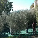 La Fortezza Alta *