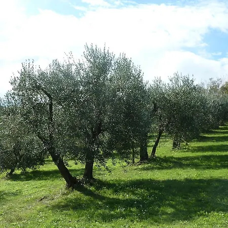 בית חווה La Fortezza Alta Avigliano Umbro