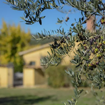 La Fortezza Alta Avigliano Umbro