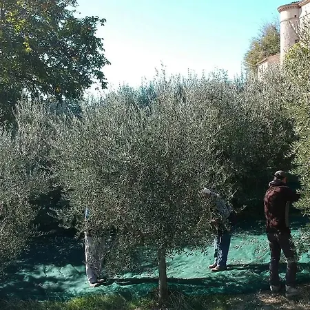 La Fortezza Alta *