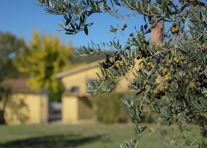 La Fortezza Alta Avigliano Umbro