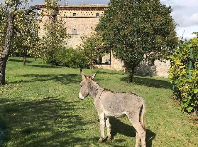 La Fortezza Alta Avigliano Umbro